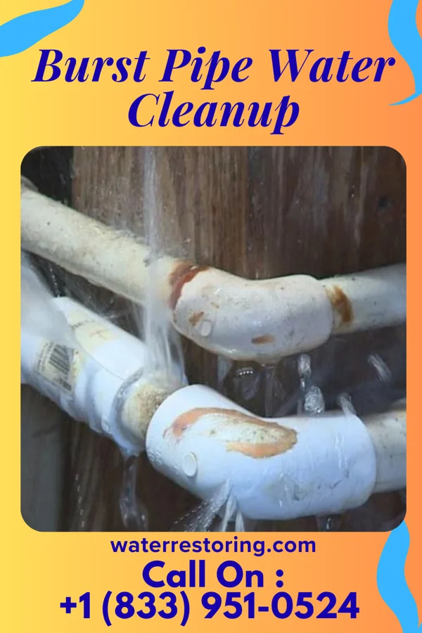 Burst Pipe Water Cleanup in Elwood, NY