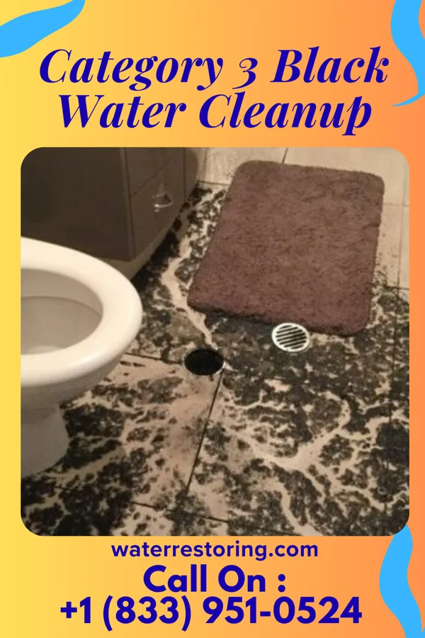 Category 3 Black Water Cleanup in Elwood, NY