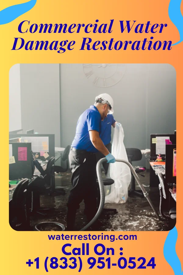 Commercial Water Damage Restoration in Elwood, NY