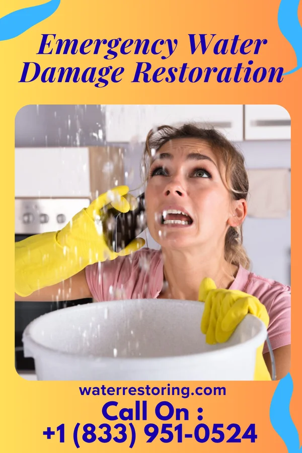 Emergency Water Damage Restoration in Elwood, NY