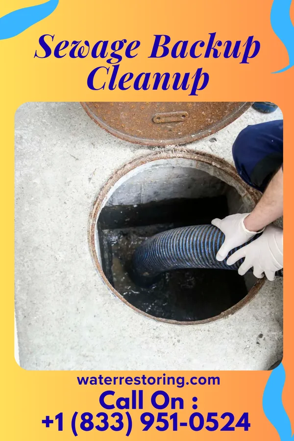 Sewage Backup Cleanup in Elwood, NY