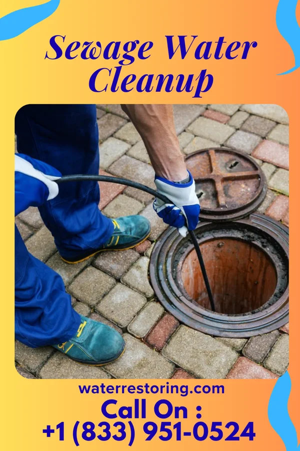 Sewage Water Cleanup in Elwood, NY