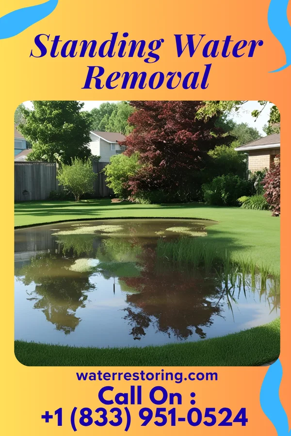 Standing Water Removal in Elwood, NY